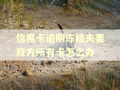 信用卡逾期冻结夫妻双方所有卡怎么办