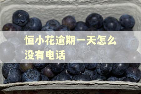恒小花逾期一天怎么没有电话