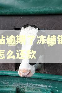 钱站逾期了冻结银行卡怎么还款