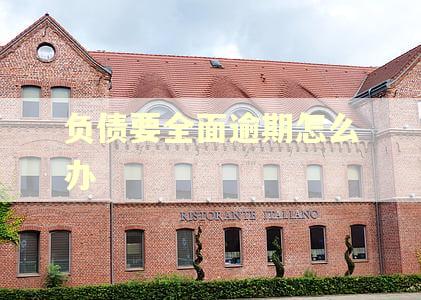 负债要全面逾期怎么办