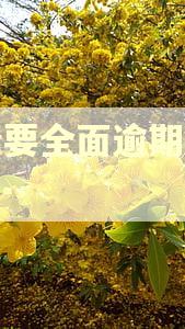 负债要全面逾期怎么办