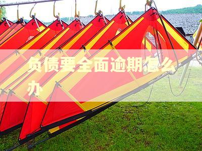 负债要全面逾期怎么办 负债要全面逾期怎么办