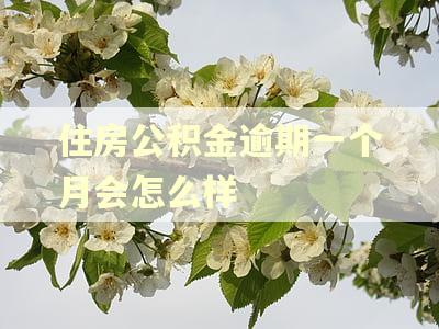 住房公积金逾期一个月会怎么样 住房公积金逾期一个月会怎么样