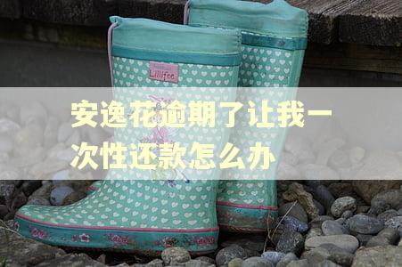 安逸花逾期了让我一次性还款怎么办