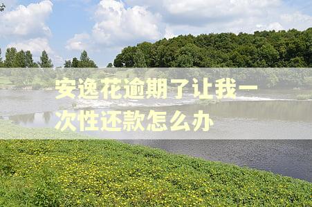 安逸花逾期了让我一次性还款怎么办