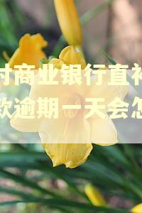 农村商业银行直补卡贷款逾期一天会怎么样