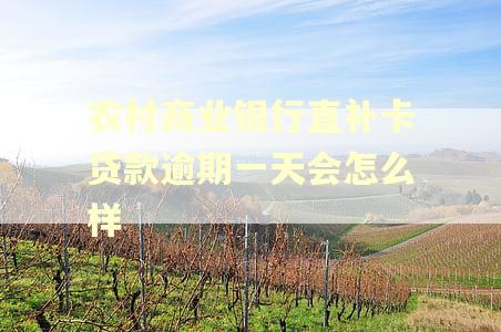 农村商业银行直补卡贷款逾期一天会怎么样
