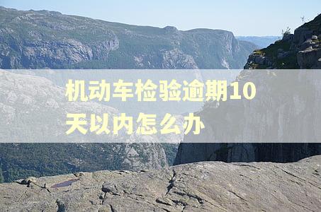 机动车检验逾期10天以内怎么办