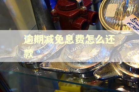 逾期减免息费怎么还款