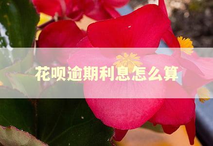 花呗逾期利息怎么算
