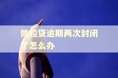 微粒贷逾期两次封闭了怎么办