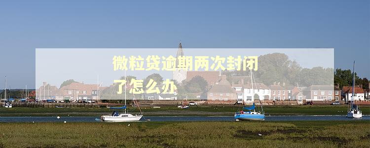 微粒贷逾期两次封闭了怎么办