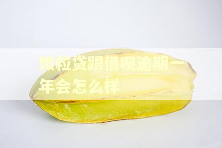 微粒贷跟借呗逾期一年会怎么样