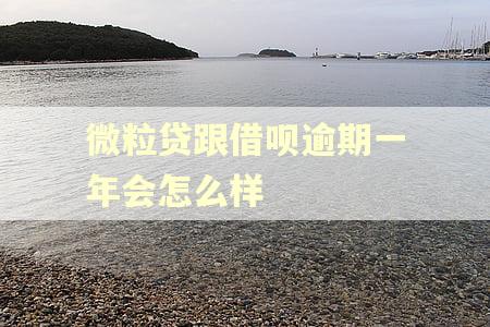 微粒贷跟借呗逾期一年会怎么样