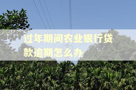 过年期间农业银行贷款逾期怎么办