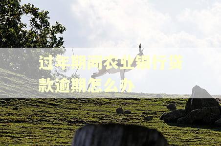 过年期间农业银行贷款逾期怎么办