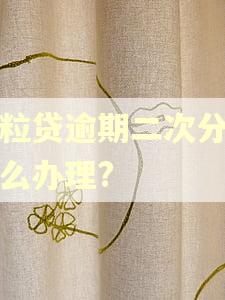 微粒贷逾期二次分期怎么办理? 微粒贷逾期二次分期怎么办理?