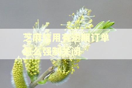 芝麻信用有逾期订单怎么强制关闭