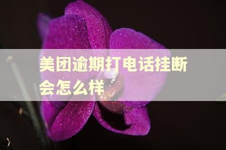 美团逾期打电话挂断会怎么样