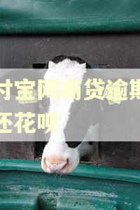 支付宝网商贷逾期怎么还花呗