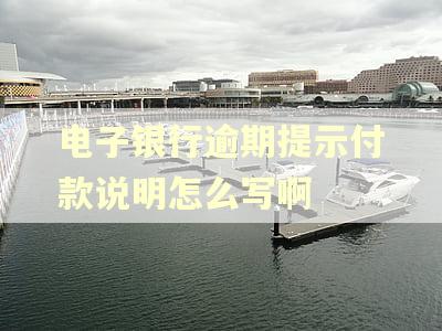 电子银行逾期提示付款说明怎么写啊