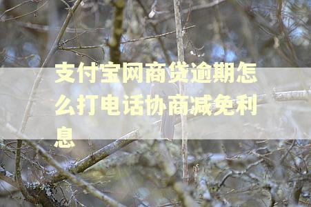 支付宝网商贷逾期怎么打电话协商减免利息