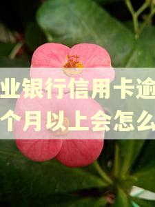农业银行信用卡逾期三个月以上会怎么样