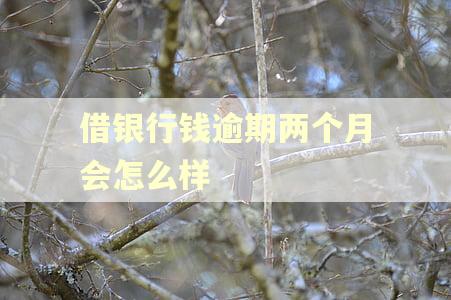 借银行钱逾期两个月会怎么样