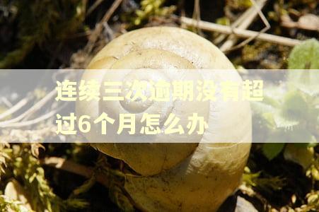 连续三次逾期没有超过6个月怎么办