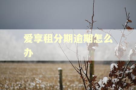 爱享租分期逾期怎么办
