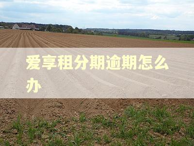 爱享租分期逾期怎么办 爱享租分期逾期怎么办