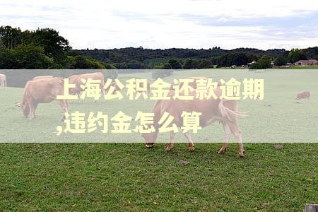 上海公积金还款逾期,违约金怎么算