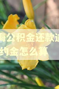 上海公积金还款逾期,违约金怎么算