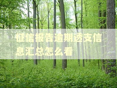 征信报告逾期透支信息汇总怎么看