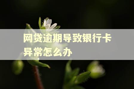 网贷逾期导致银行卡异常怎么办
