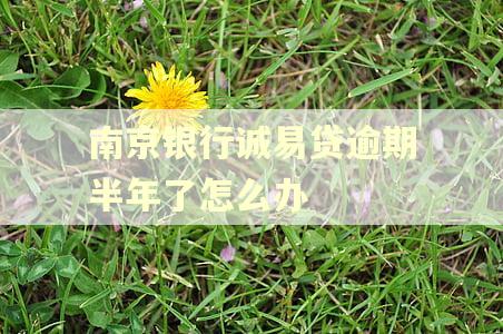 南京银行诚易贷逾期半年了怎么办
