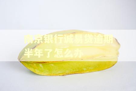 南京银行诚易贷逾期半年了怎么办