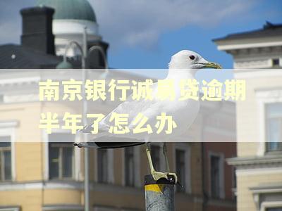 南京银行诚易贷逾期半年了怎么办 南京银行诚易贷逾期半年了怎么办