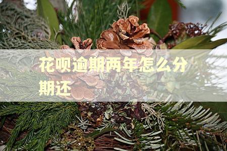 花呗逾期两年怎么分期还