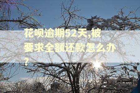 花呗逾期52天,被要求全额还款怎么办? 花呗逾期52天,被要求全额还款怎么办?