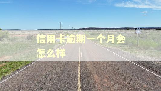 信用卡逾期一个月会怎么样