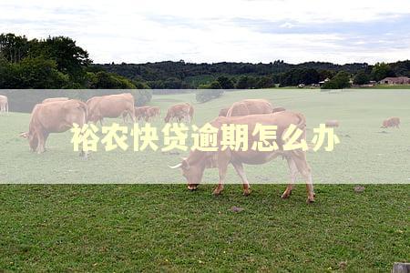 裕农快贷逾期怎么办
