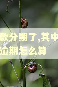 借款分期了,其中一期逾期怎么算