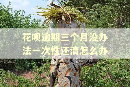 花呗逾期三个月没办法一次性还清怎么办 花呗逾期三个月没办法一次性还清怎么办