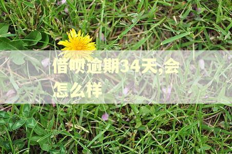 借呗逾期34天,会怎么样