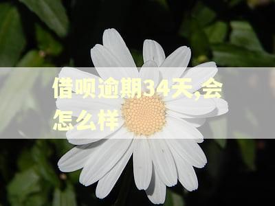 借呗逾期34天,会怎么样