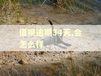 借呗逾期34天,会怎么样