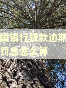 中国银行贷款逾期一天罚息怎么算