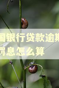 中国银行贷款逾期一天罚息怎么算 中国银行贷款逾期一天罚息怎么算