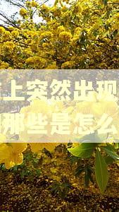 征信上突然出现网贷逾期那些是怎么回事